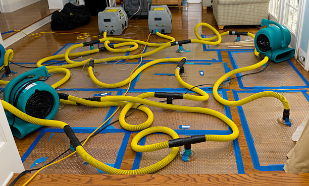 Professional Basement Flood Cleanup technician working in Shadyside, OH